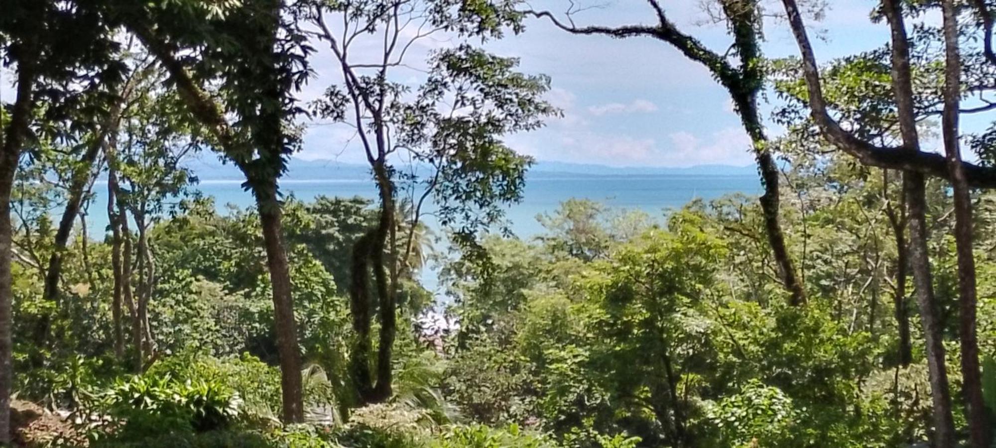Ocean View Modern Dreamhouse Hotel ปาโวเนส ภายนอก รูปภาพ